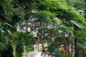 ita-fort-history-itanagar-arunachal-(Innercall)