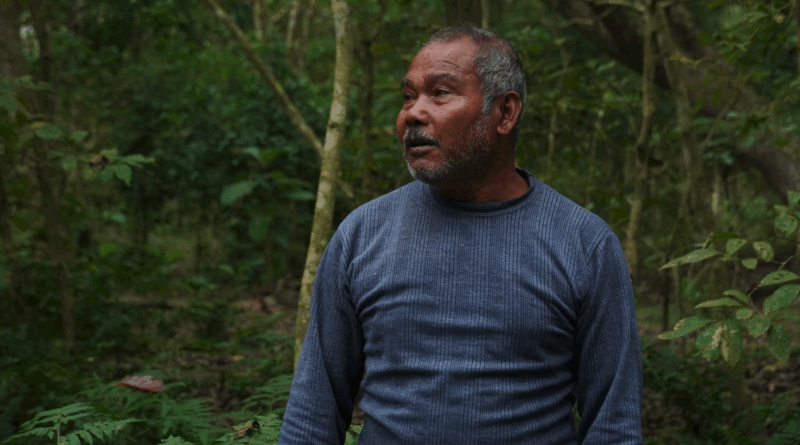 Jadav-Payeng-Innercall