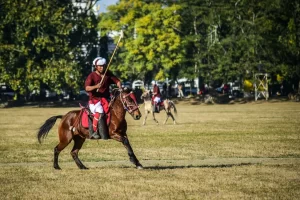 Sagol-Kangjei-Manipure-Innercall