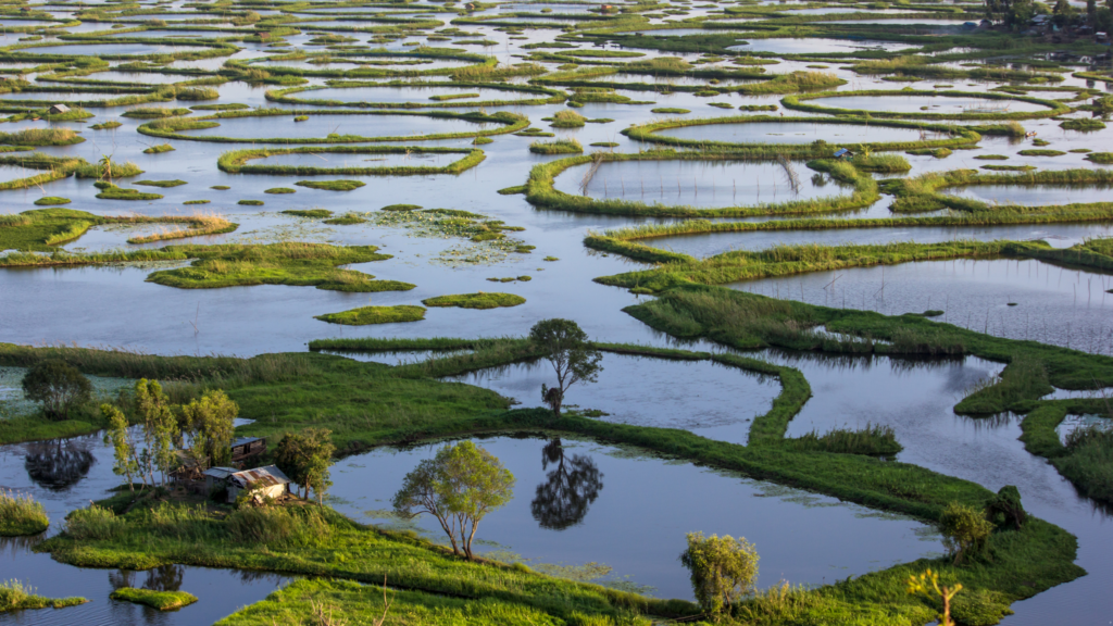 Loktak lake