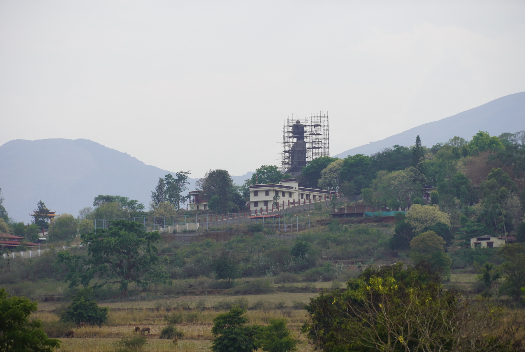 Tibetan Settlement,Dhondenling, BR hills