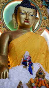 Lord Buddha Of Tawang Monestry